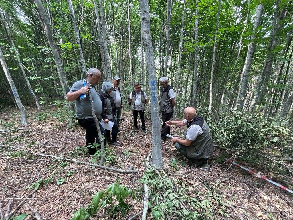 Domaniç ormanlarında tatbikat