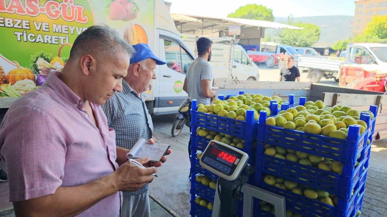 Aydın’da taze incir hasadı devam ediyor