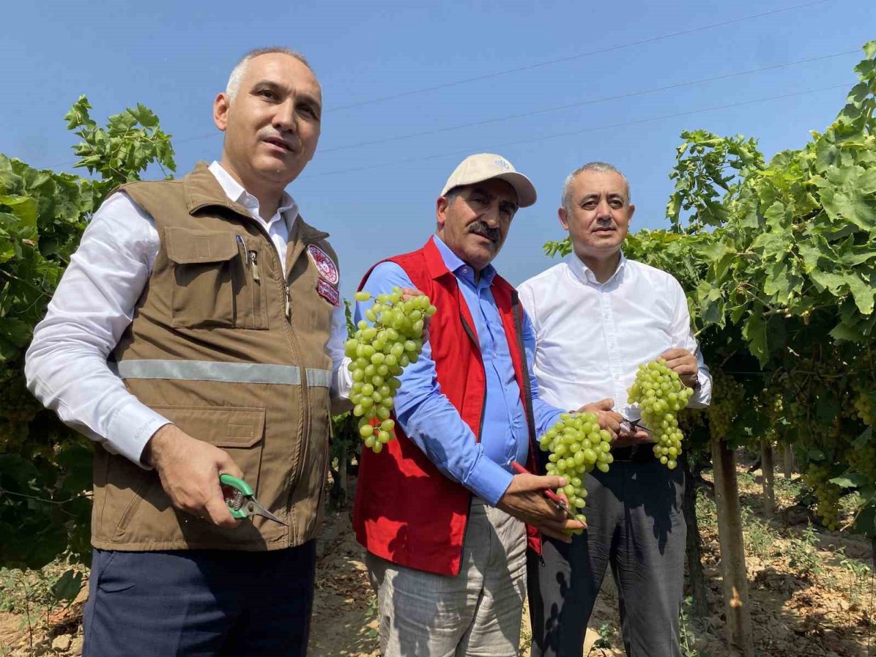 Yaş üzümde ihracat hedefi 200 milyon doların üzerinde