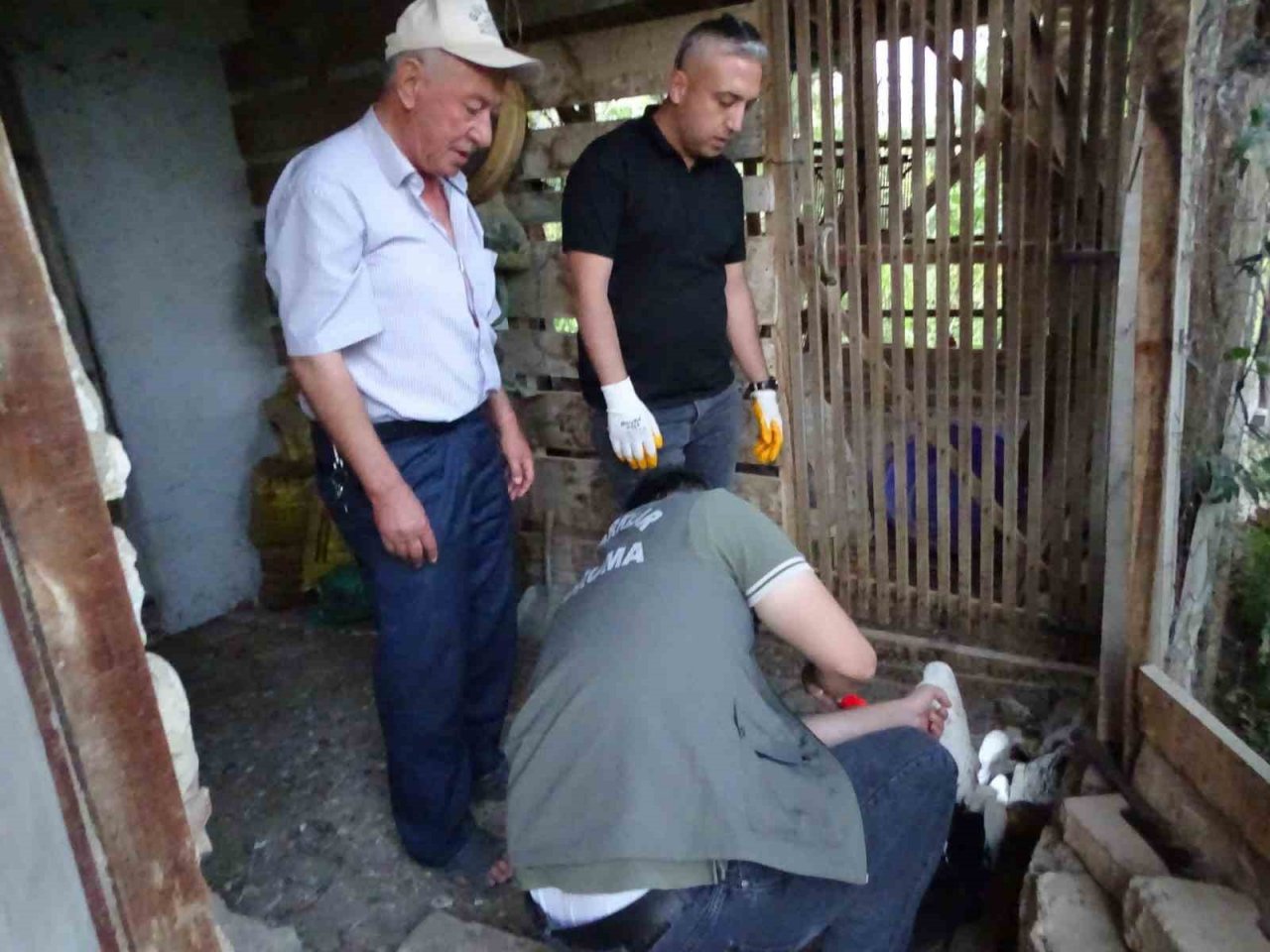 Hisarcık’ta vatandaşların bulduğu yaralı leylek tedavi altına alındı