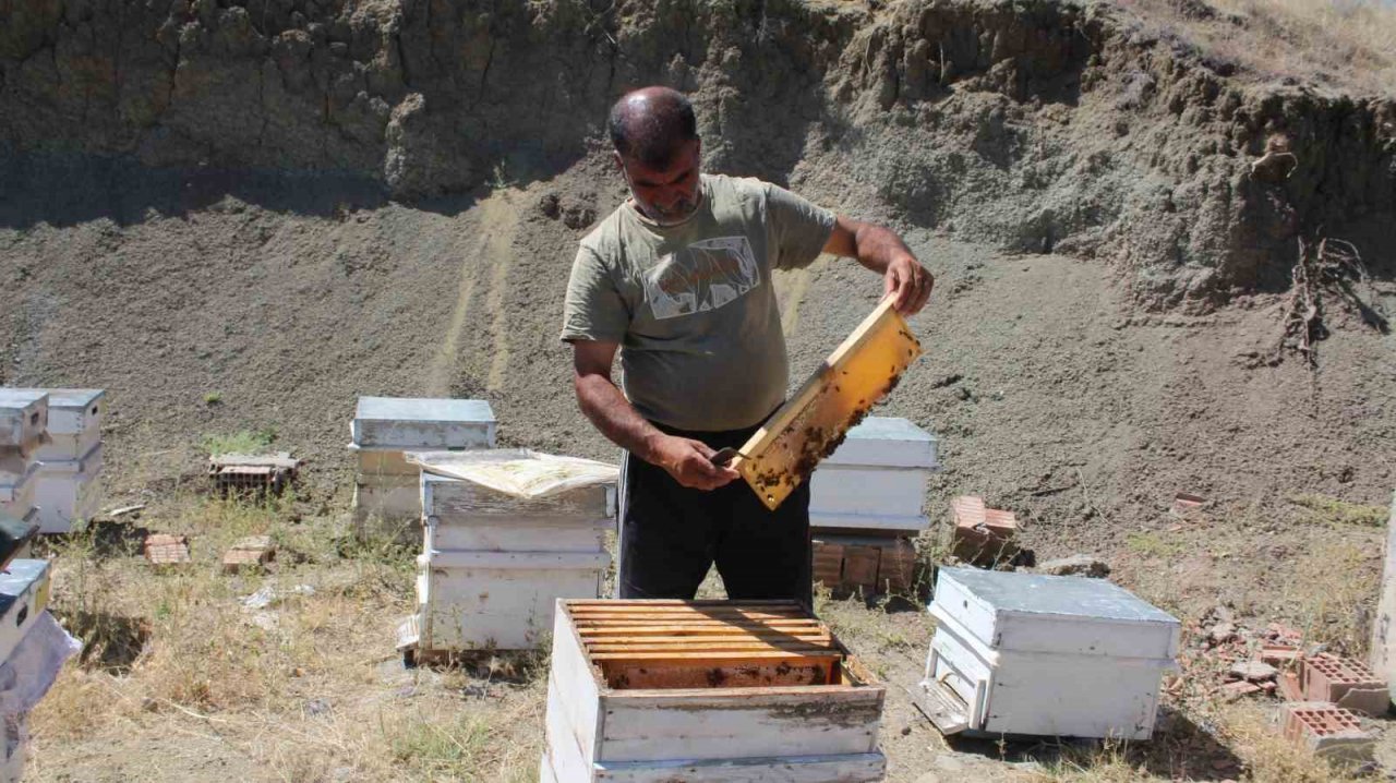 Iğdır’da bal hasadında bu yıl istenilen randıman alınamadı