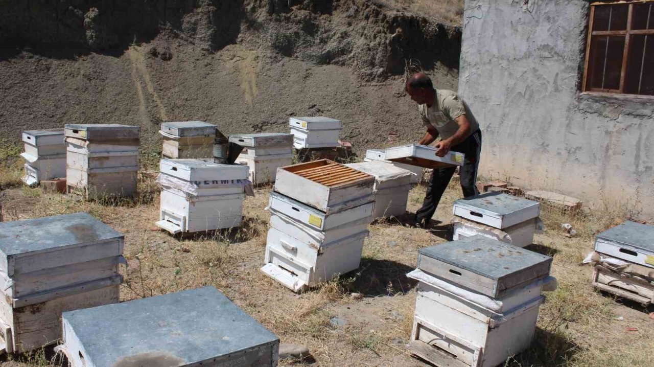 Iğdır’da bal hasadında bu yıl istenilen randıman alınamadı