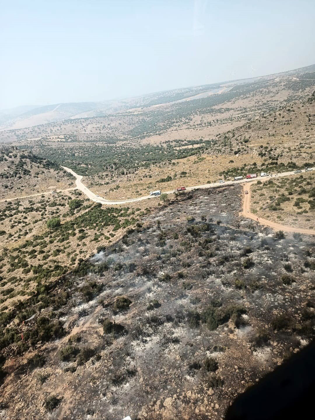 Aliağa’daki orman yangını kontrol altında