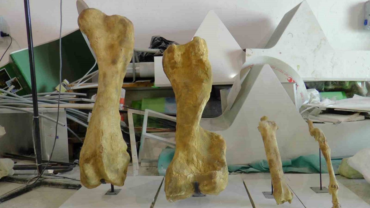 7,5 milyon yıl sonra ayaktalar