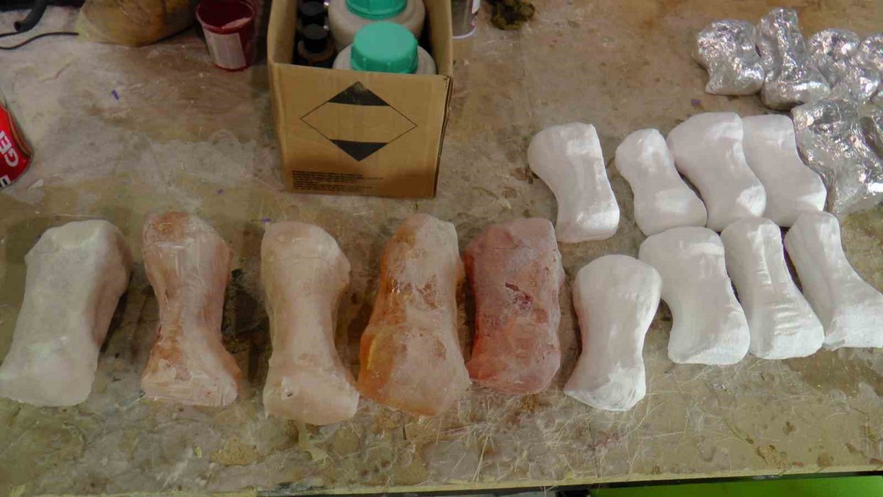 7,5 milyon yıl sonra ayaktalar