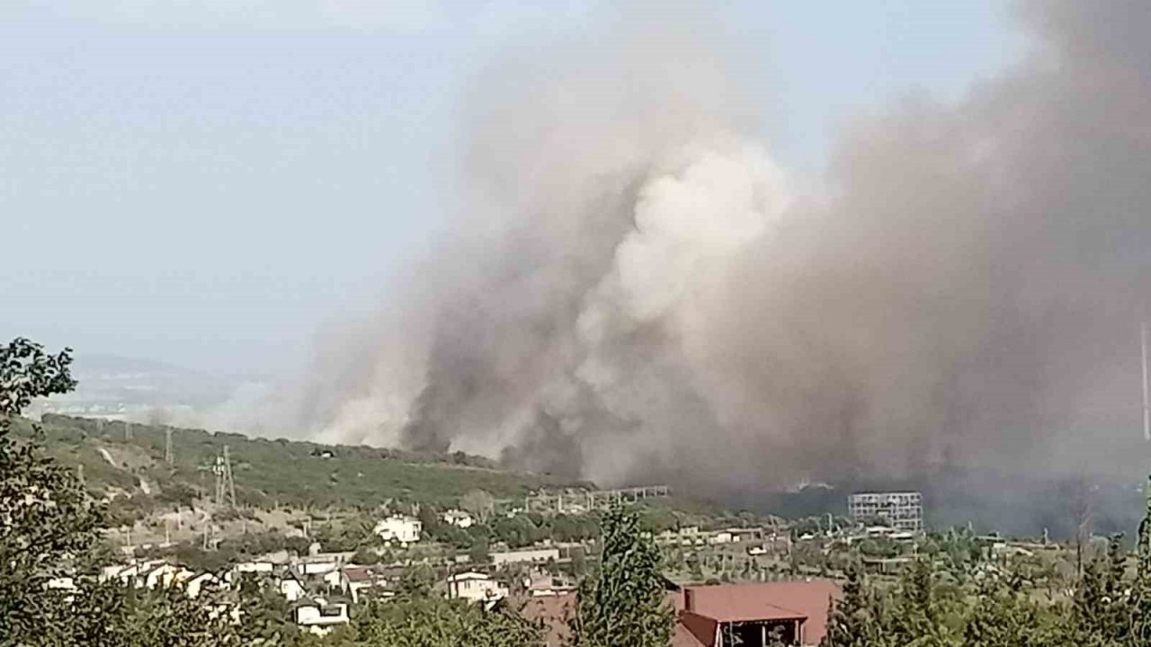 TÜBİTAK’ın ormanlık alanında yangın