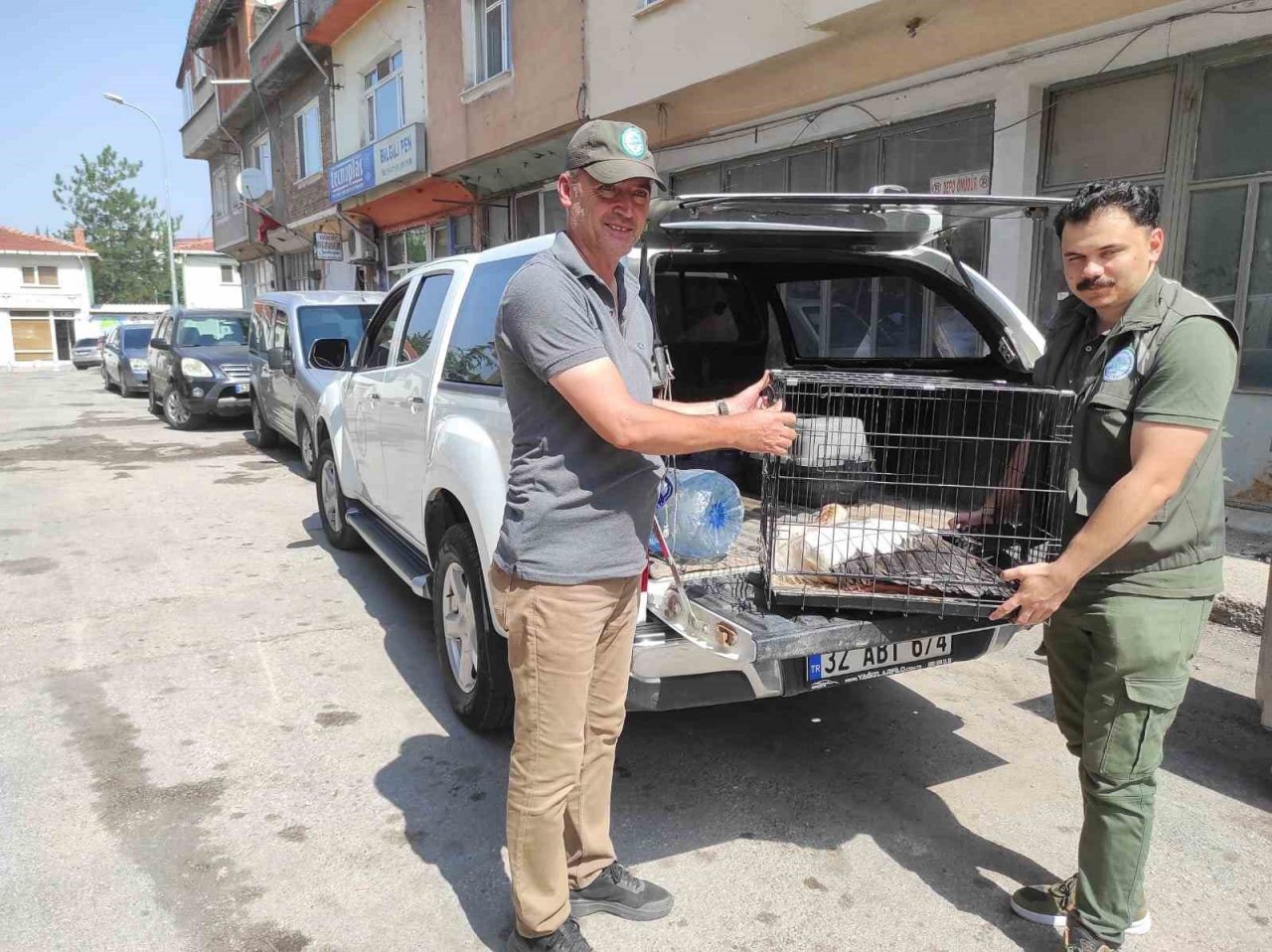 Göç yolunda mola veren onlarca leylek telef oldu