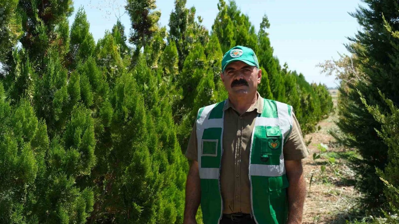 Malatya’da 30 bin fidan toprakla buluşacak