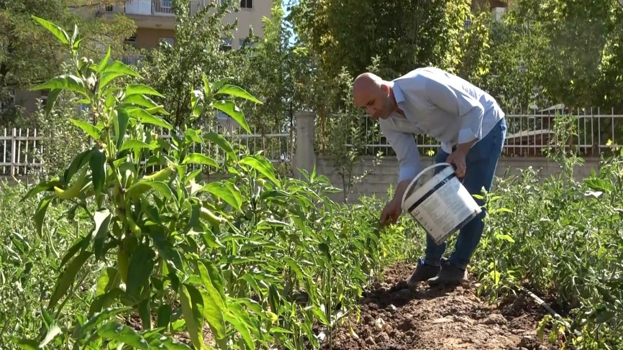 Öğrenciler, atıl durumdaki alanı tarıma kazandırdı