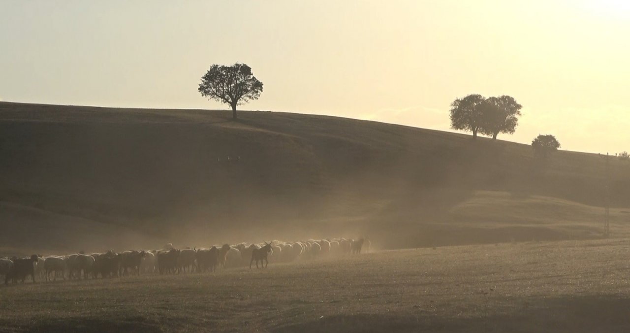Başlık parası değil, baba inadı gençleri hayattan kopardı