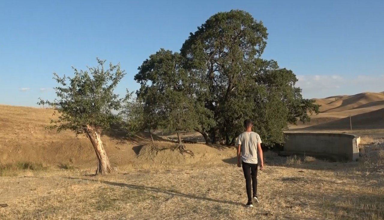 Başlık parası değil, baba inadı gençleri hayattan kopardı