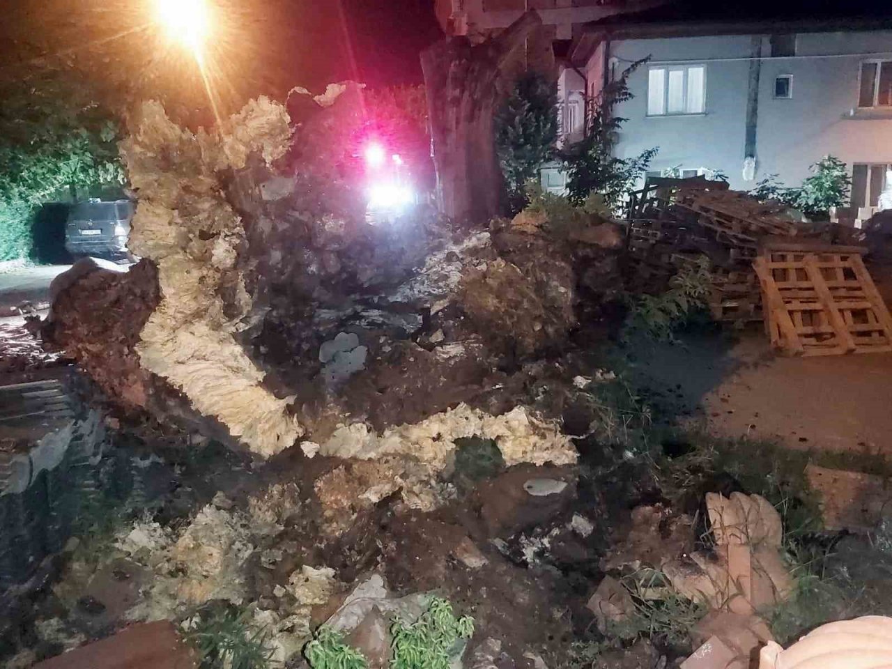 Asırlık çınar ağacı park halindeki aracın üzerine devrildi