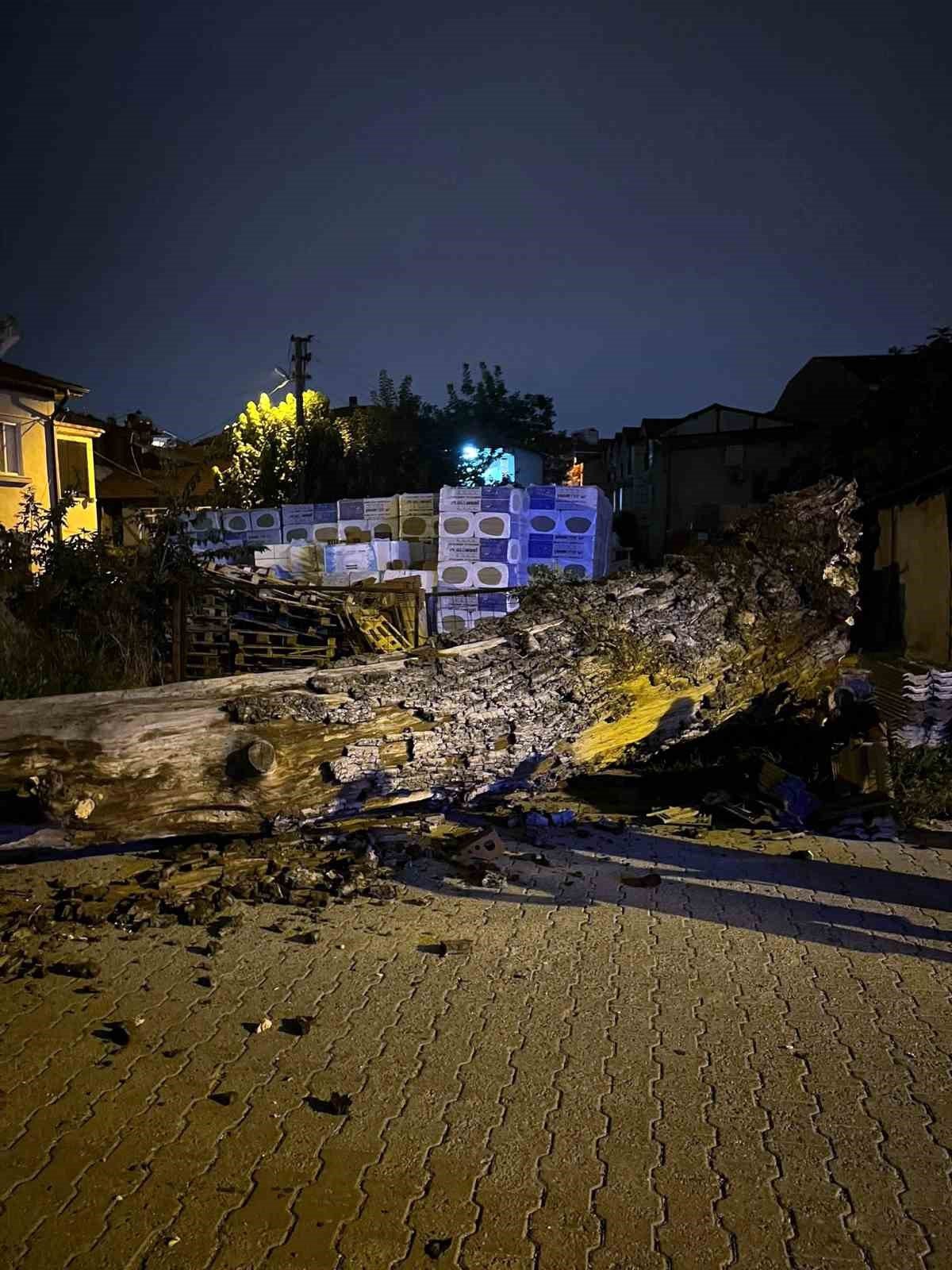 Asırlık çınar ağacı park halindeki aracın üzerine devrildi