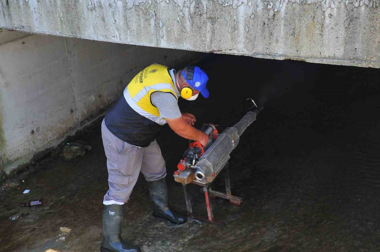 Samsun’da vektörlerle mücadele