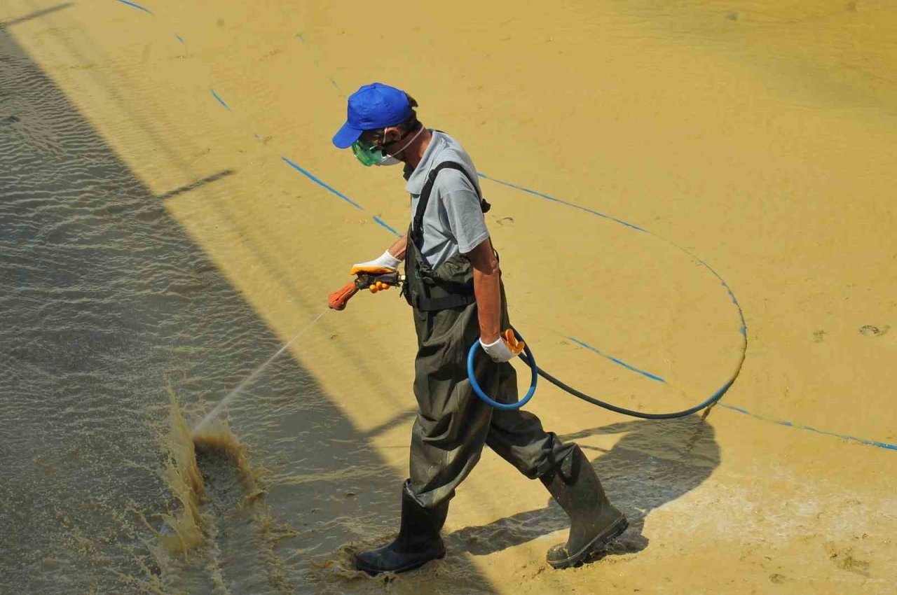 Samsun’da vektörlerle mücadele