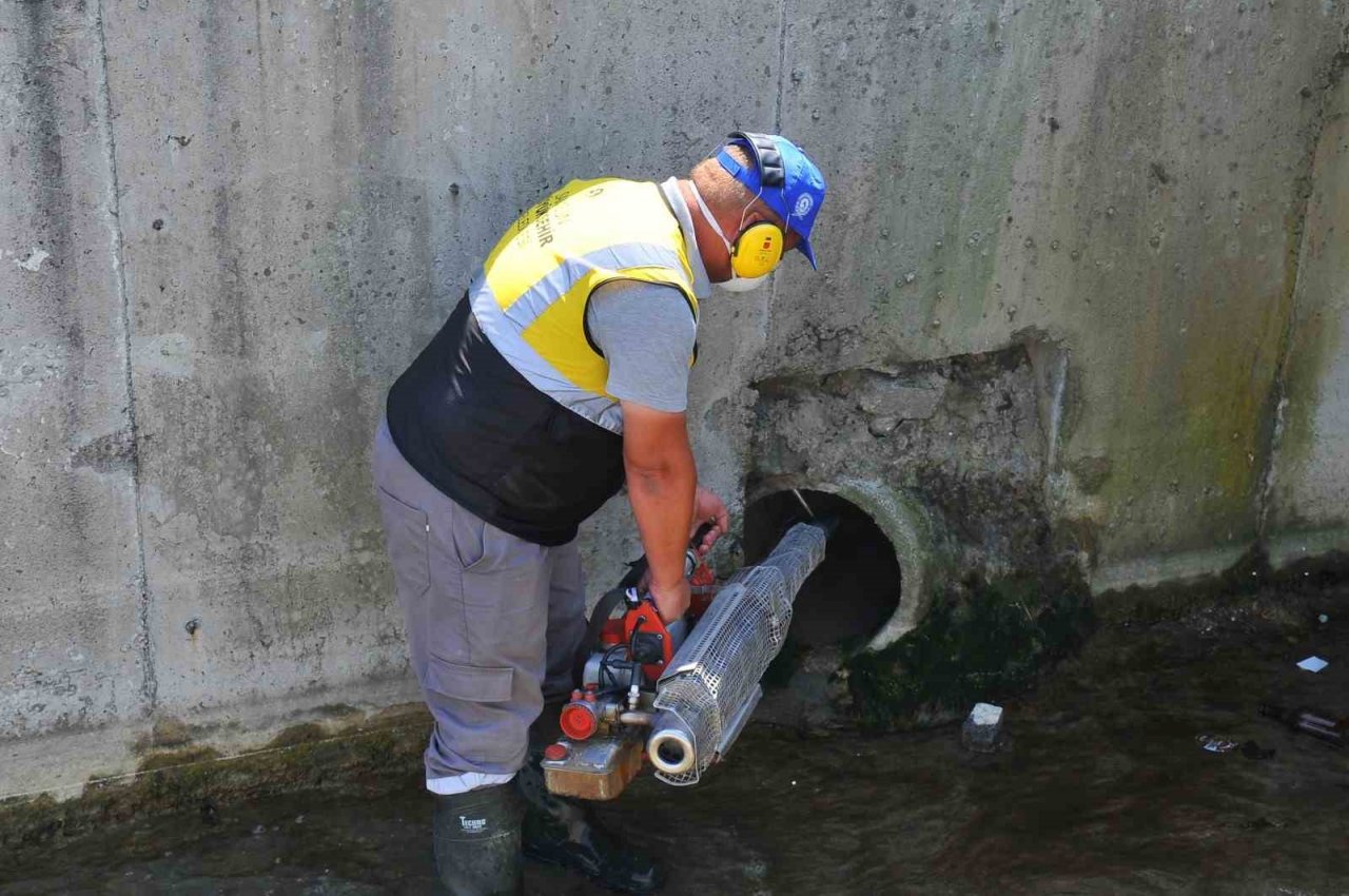 Samsun’da vektörlerle mücadele