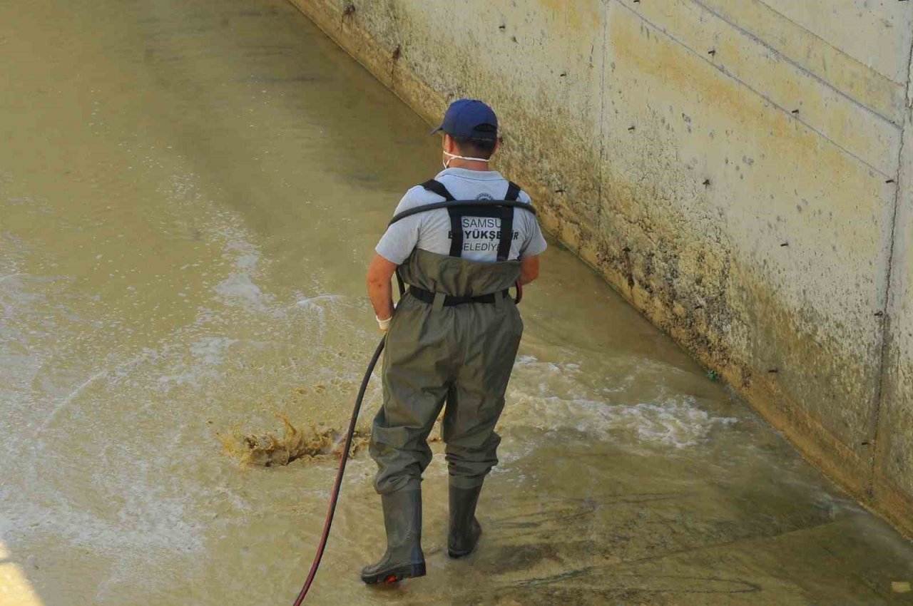 Samsun’da vektörlerle mücadele