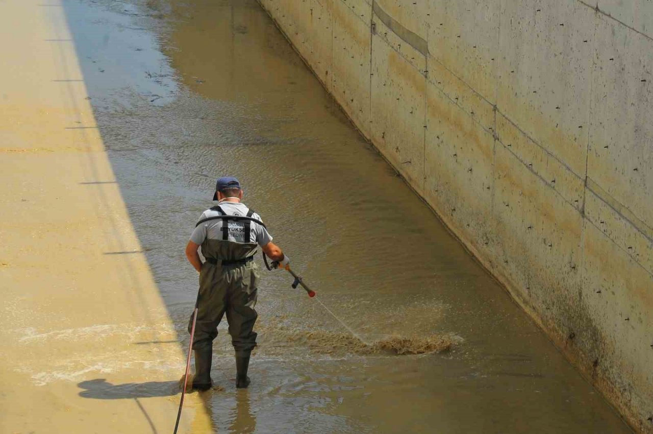 Samsun’da vektörlerle mücadele