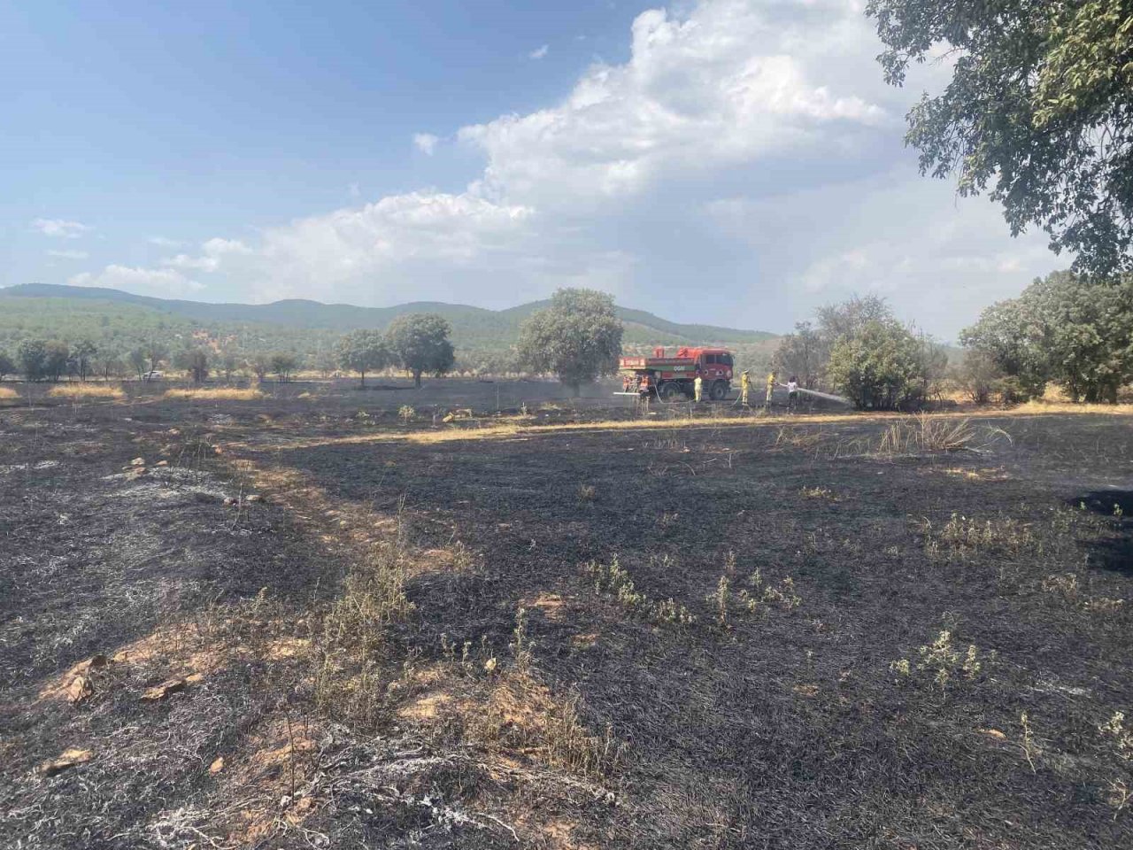 Uşak’ta 100 dönüm buğday ekili alan kül oldu