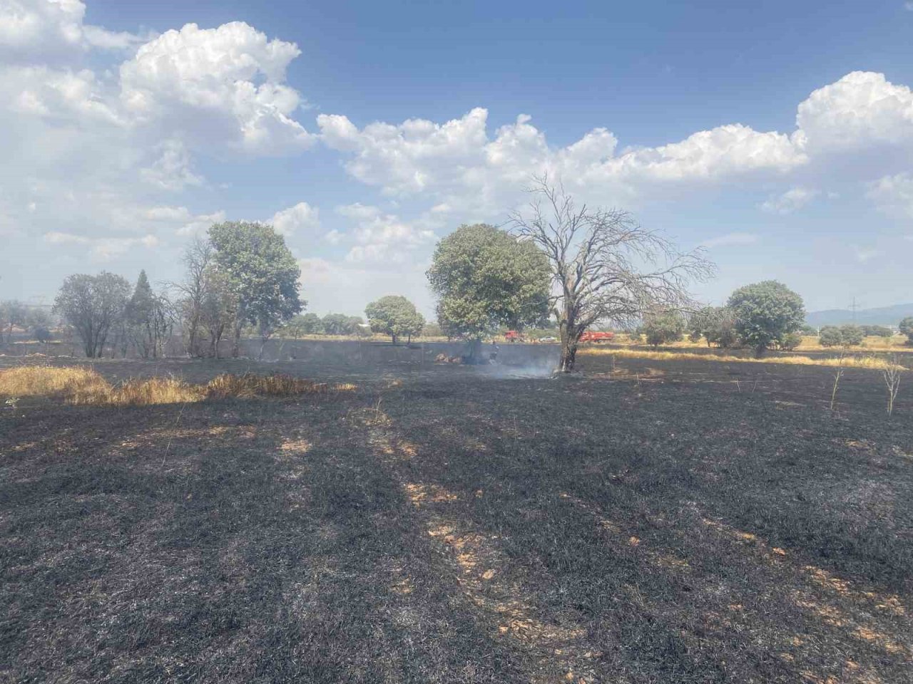 Uşak’ta 100 dönüm buğday ekili alan kül oldu