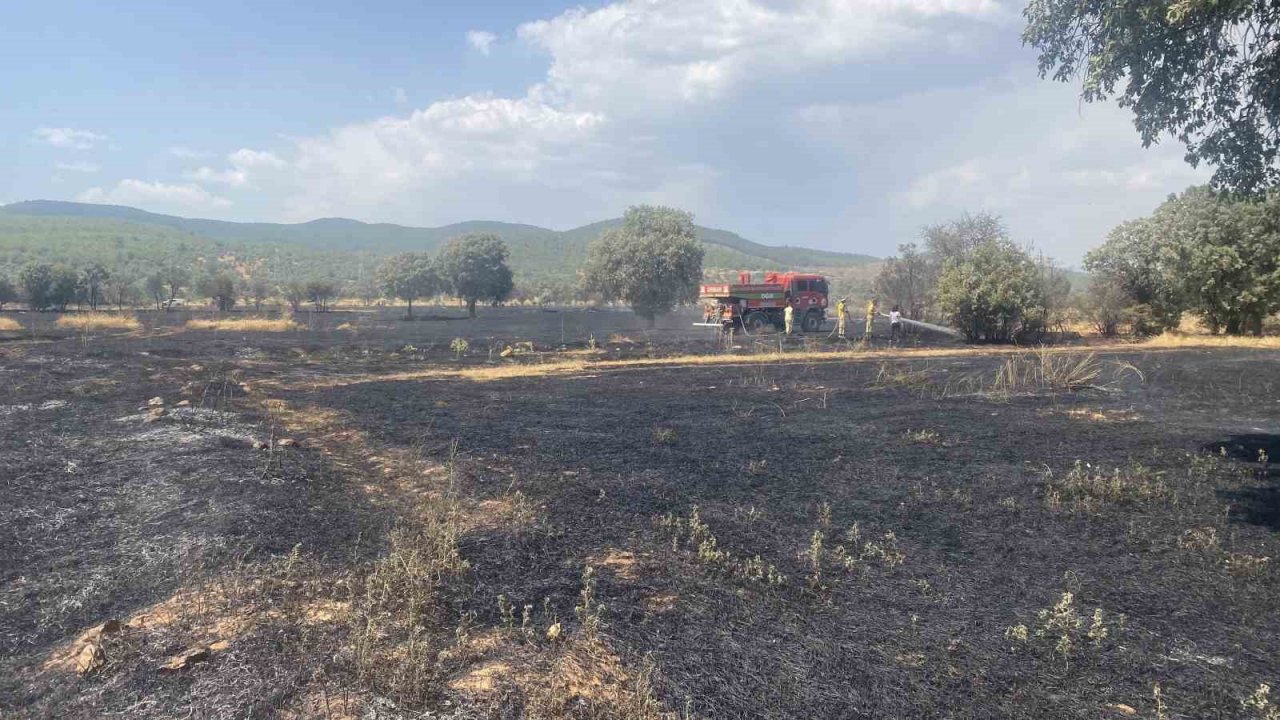 Uşak’ta 100 dönüm buğday ekili alan kül oldu