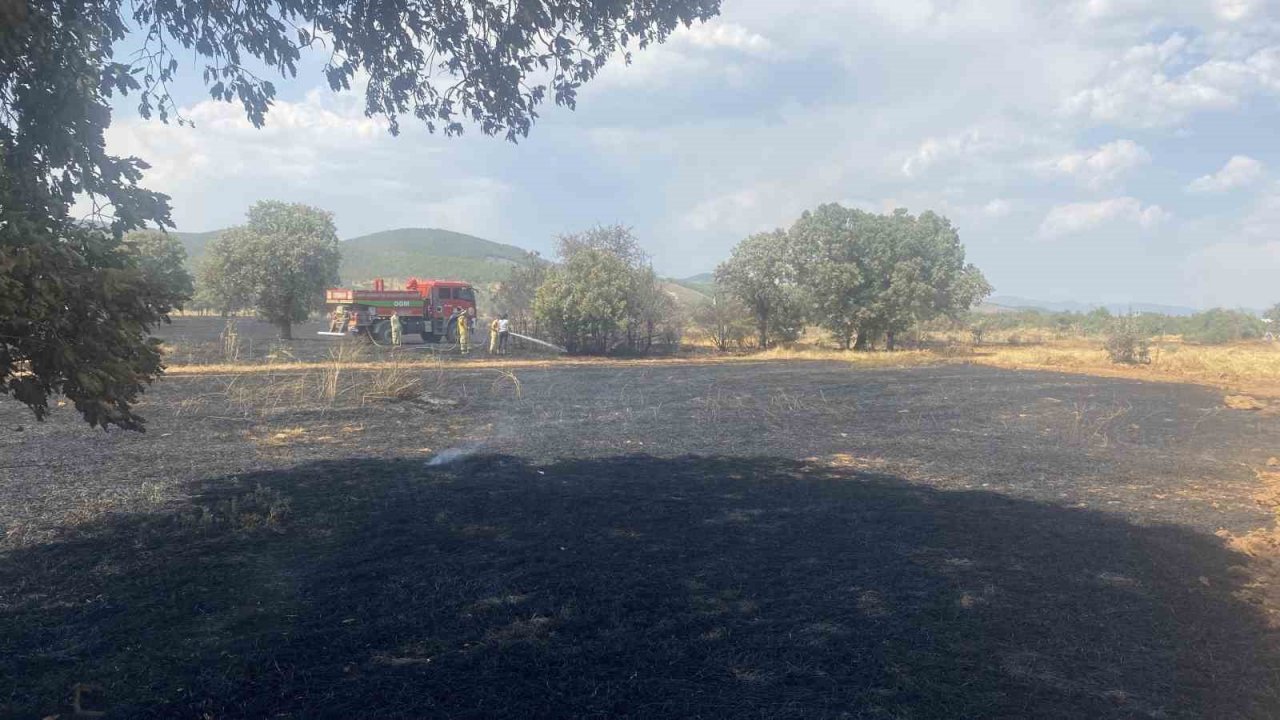 Uşak’ta 100 dönüm buğday ekili alan kül oldu