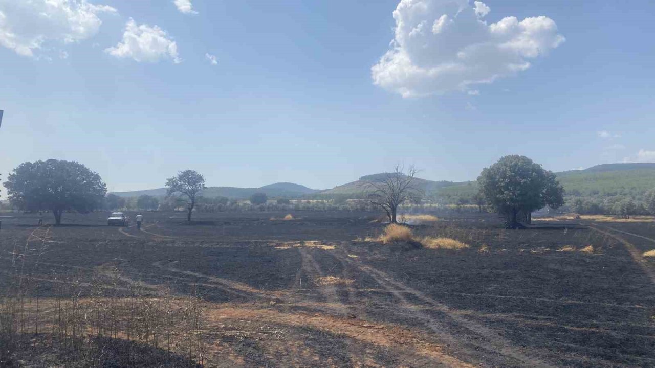 Uşak’ta 100 dönüm buğday ekili alan kül oldu