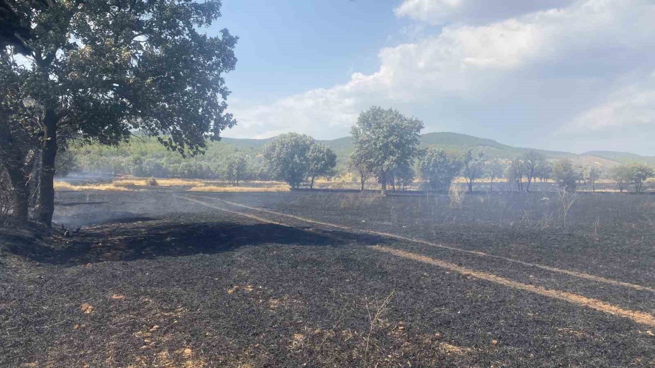 Uşak’ta 100 dönüm buğday ekili alan kül oldu