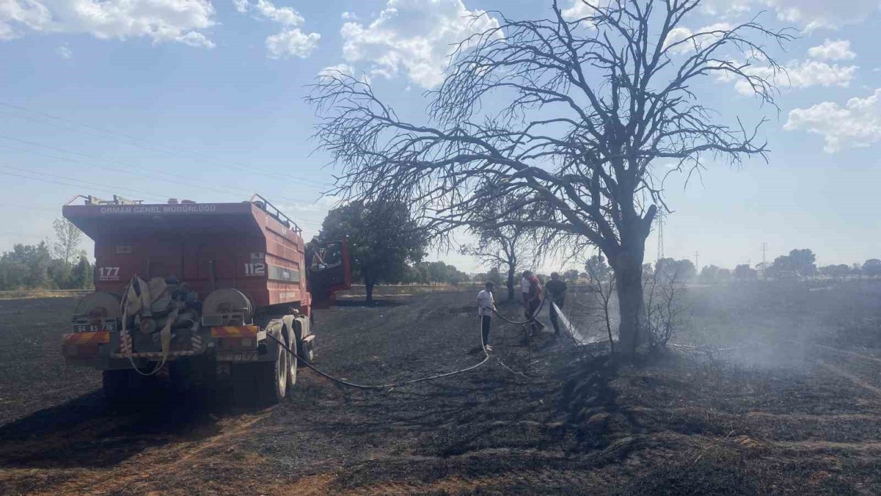 Uşak’ta 100 dönüm buğday ekili alan kül oldu
