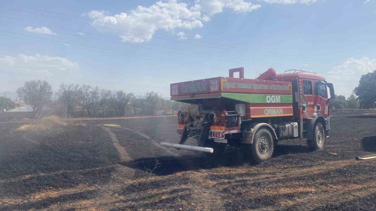 Uşak’ta 100 dönüm buğday ekili alan kül oldu