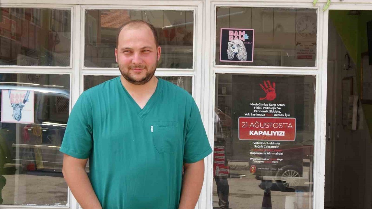 Göç yolunda mola veren onlarca leylek telef oldu