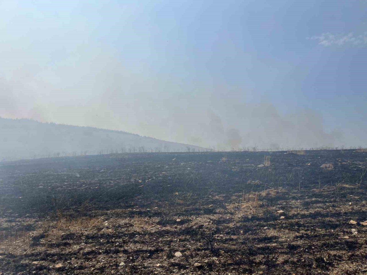 Anız yakılmasıyla tarlada başlayan yangın ormanlık alana sıçramadan söndürüldü