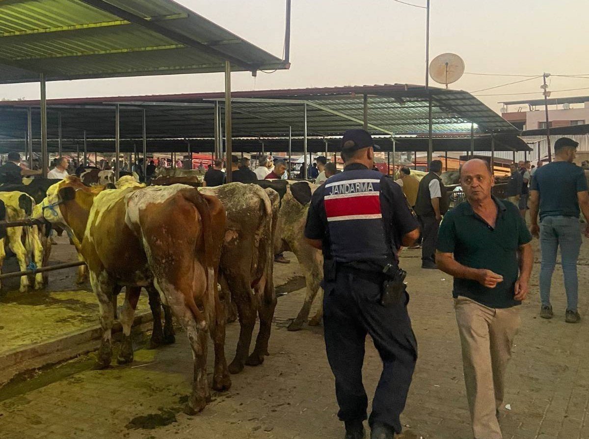 Jandarmadan pazarda hırsızlık ve sahte para denetimi
