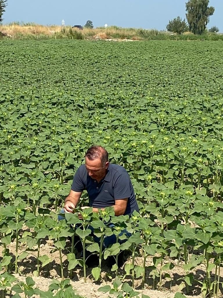 Didim’de haftalık kontroller devam ediyor