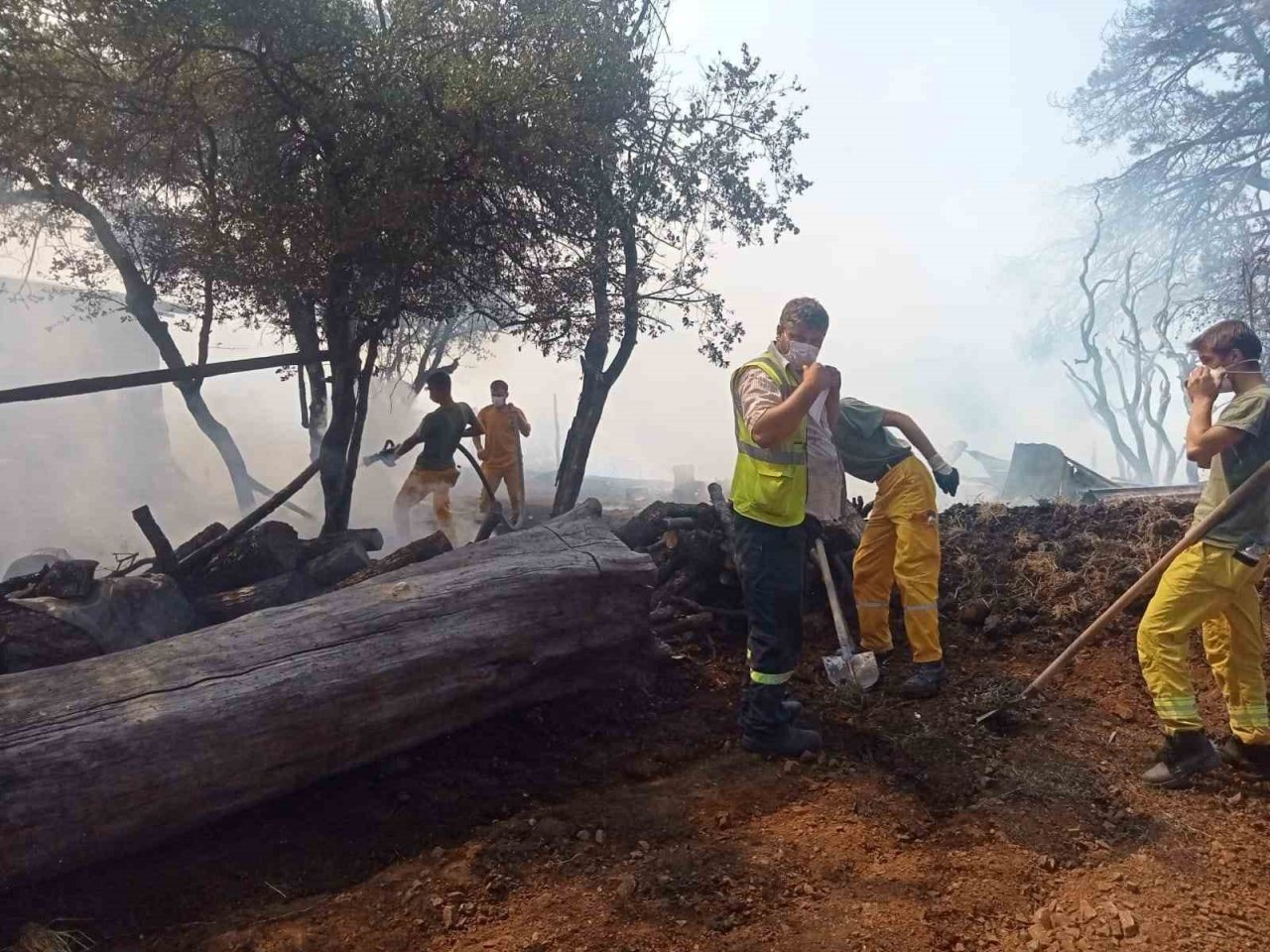 Bursa’da ağıl yangını
