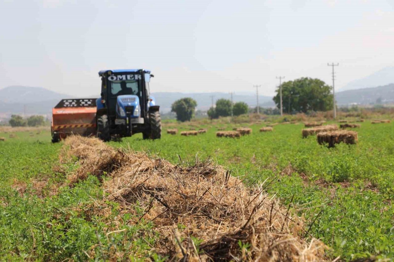 Büyükşehir’den 700 üreticiye 3 Milyon TL değerinde kaba yem desteği