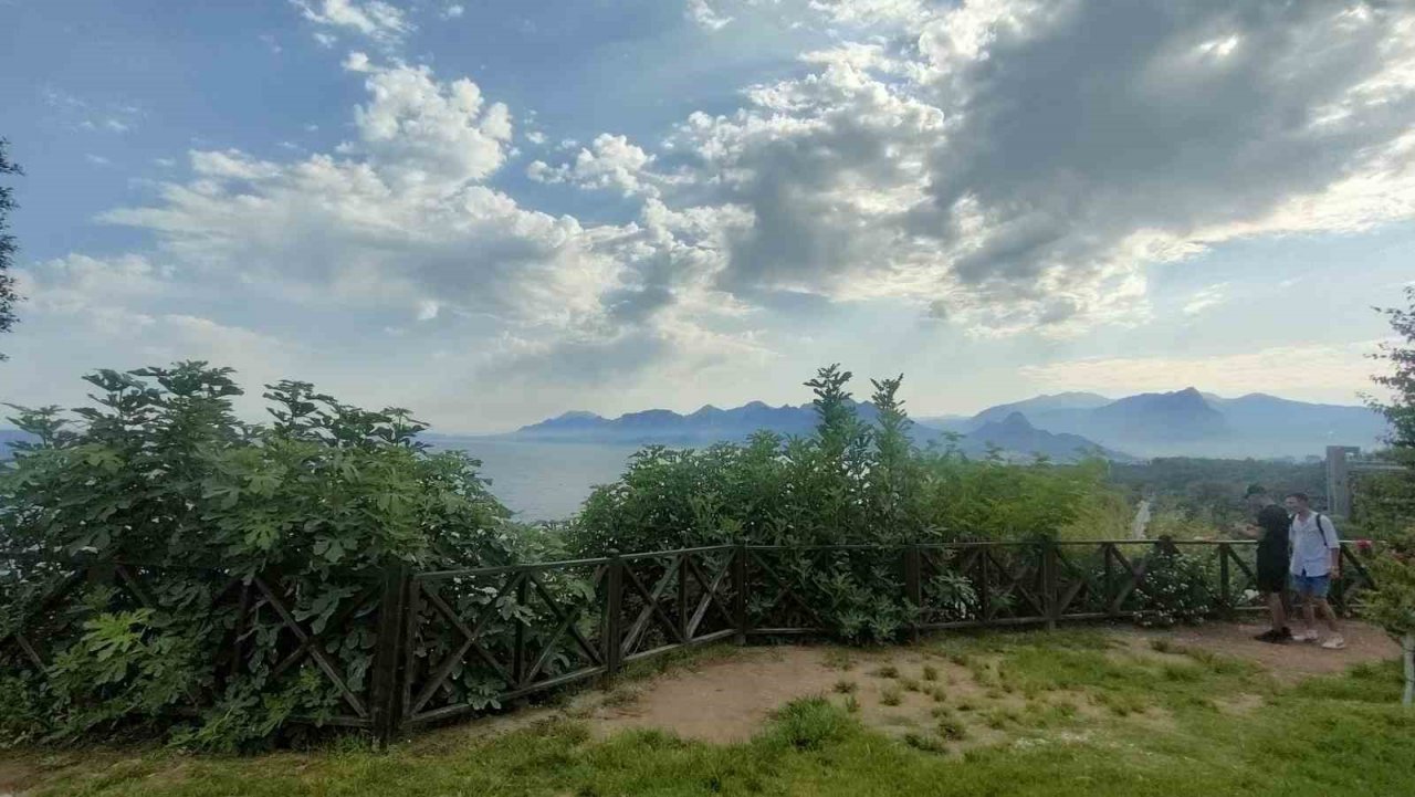 Dünyaca ünlü sahili görüntülemek isteyenlere bitki engeli