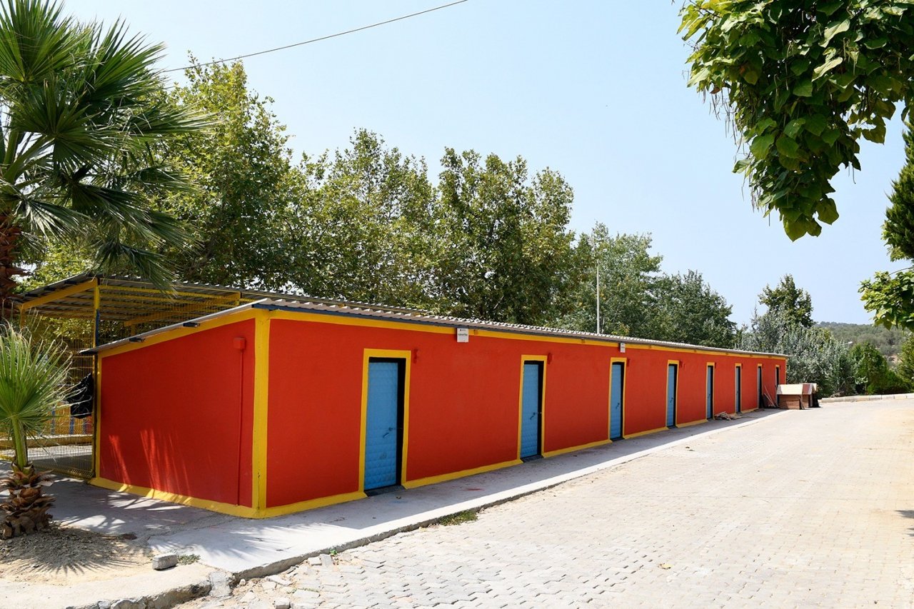 Kuşadası Belediyesi, evcil hayvan merkezini yeniliyor