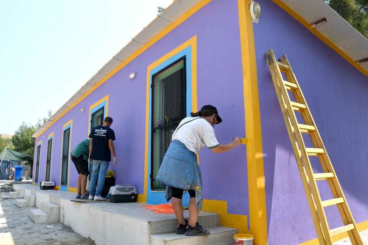 Kuşadası Belediyesi, evcil hayvan merkezini yeniliyor