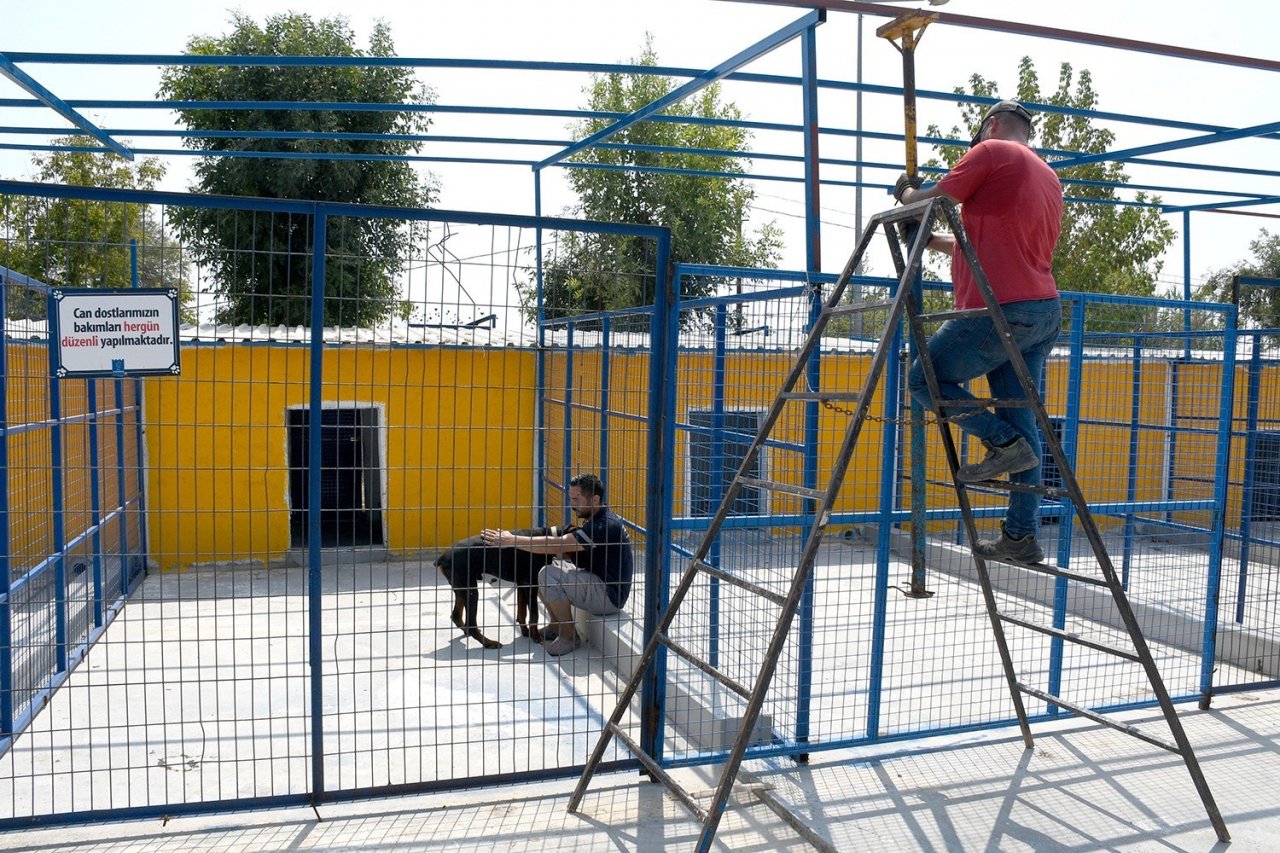 Kuşadası Belediyesi, evcil hayvan merkezini yeniliyor
