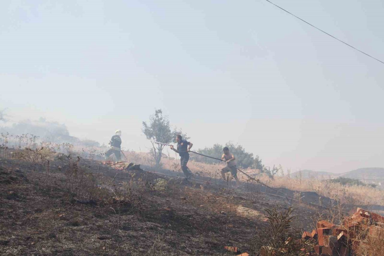 Ormanlık alan yakınında çıkan yangında 20 dönümlük alan küle döndü