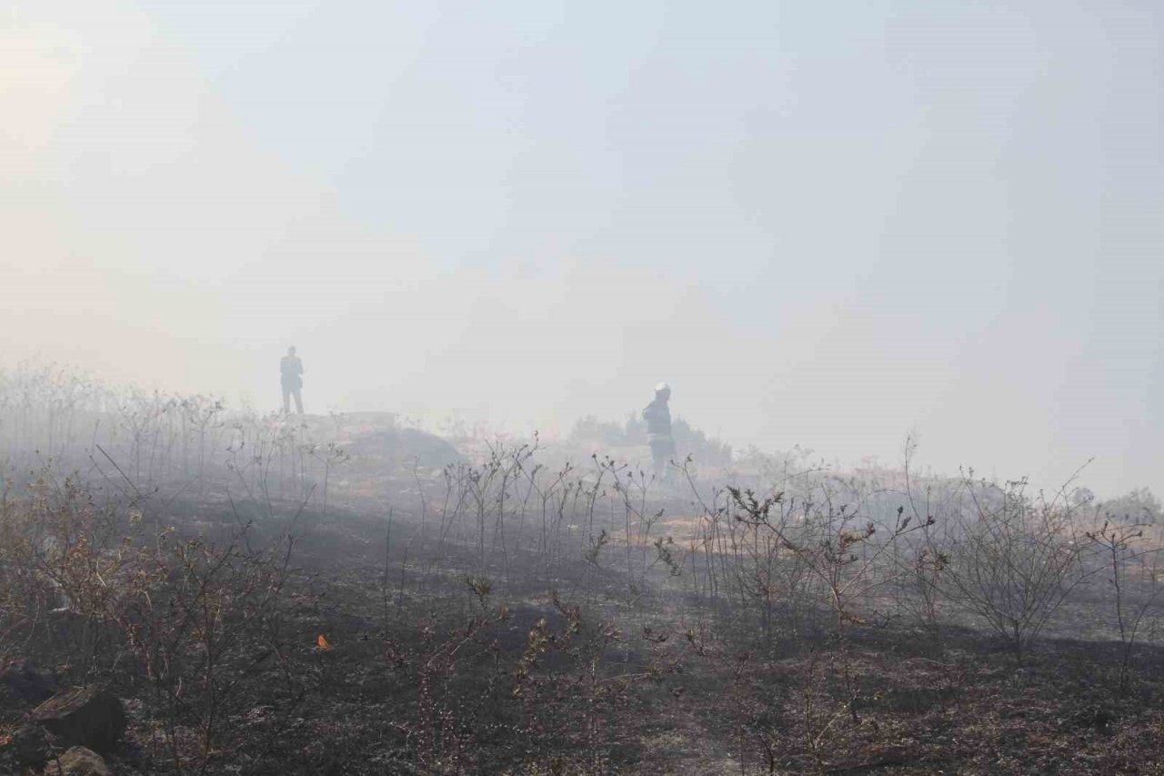 Ormanlık alan yakınında çıkan yangında 20 dönümlük alan küle döndü