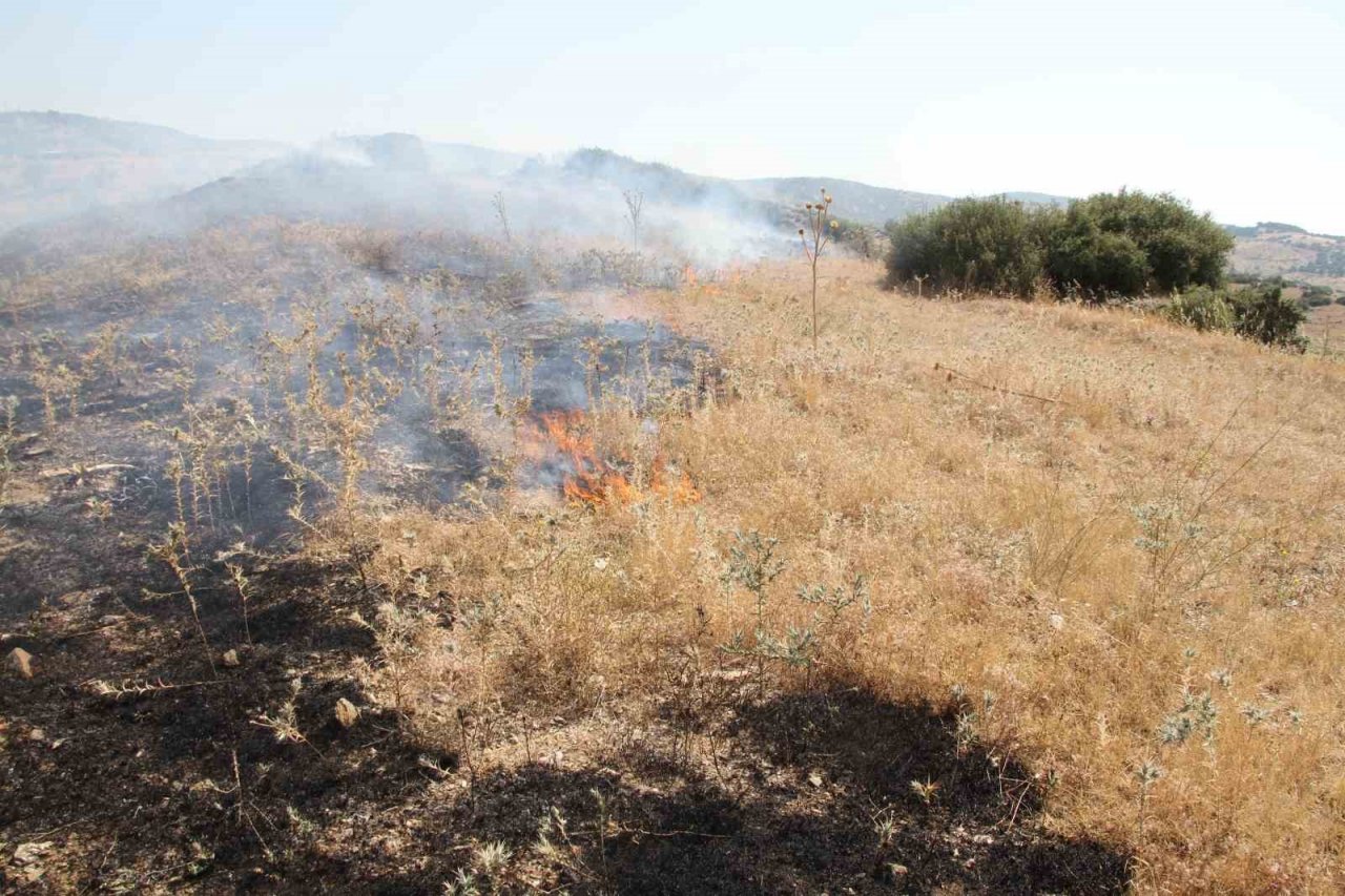 Ormanlık alan yakınında çıkan yangında 20 dönümlük alan küle döndü