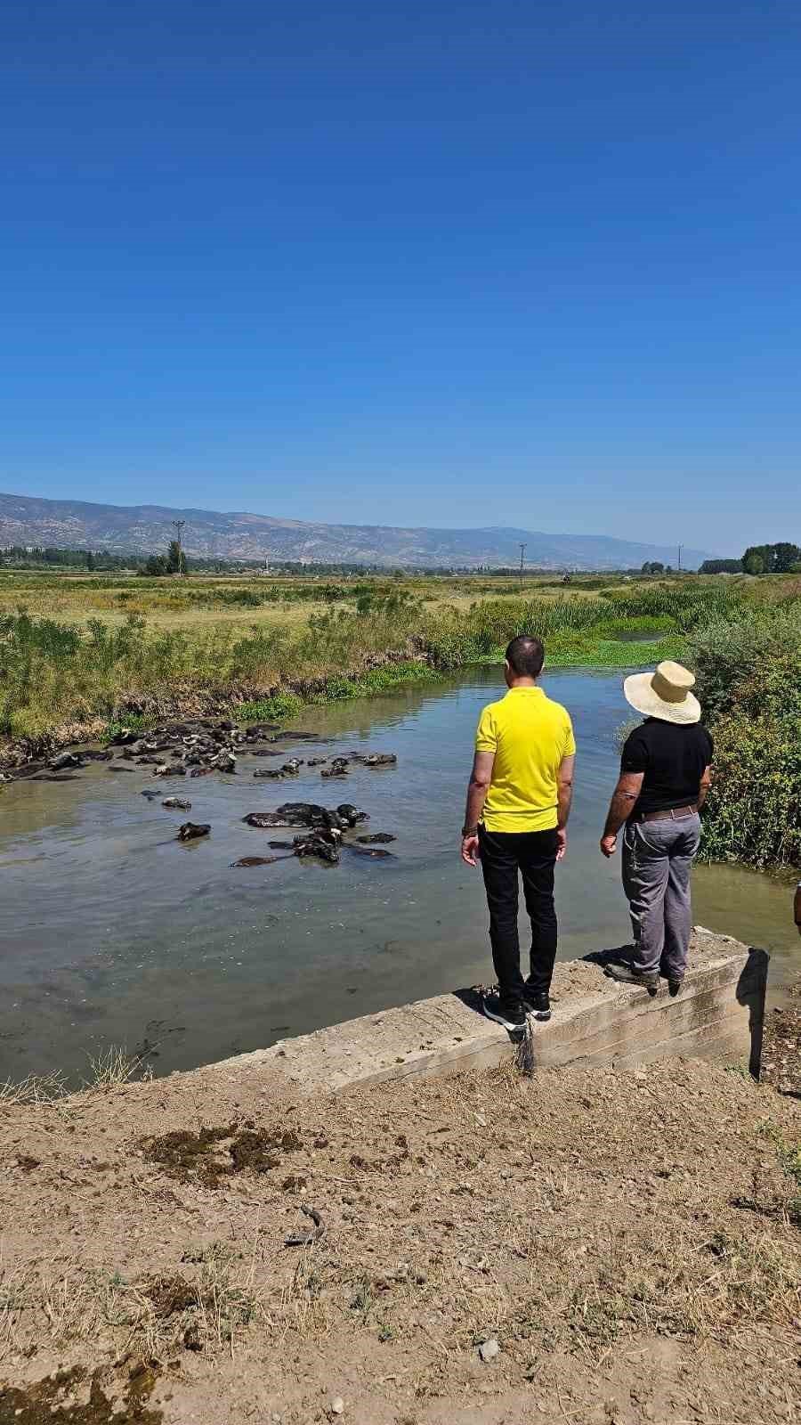 MHP Tokat Milletvekili Bulut: “Geleceğimiz açısından kırsaldaki üretim önemlidir”