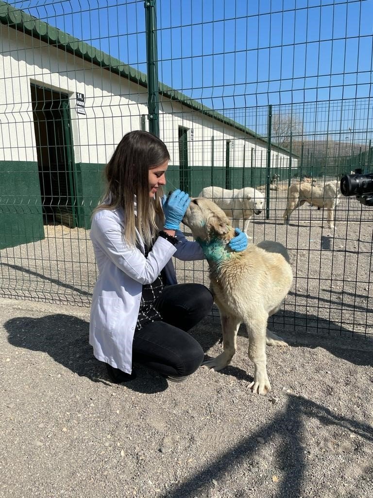 Başkan Ercan Sincan’a yönelik yatırımları anlattı