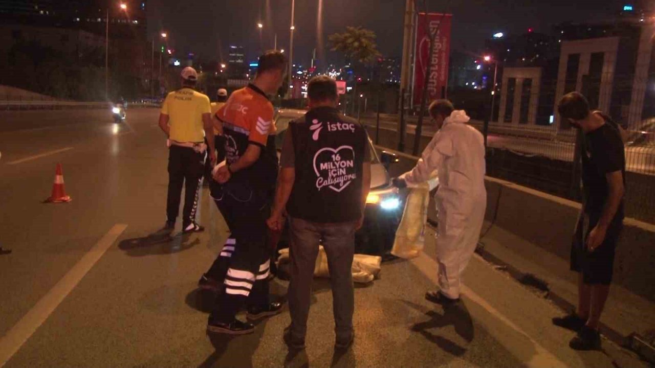 Yolun karşısına geçmeye çalışan köpeğe otomobil çarptı