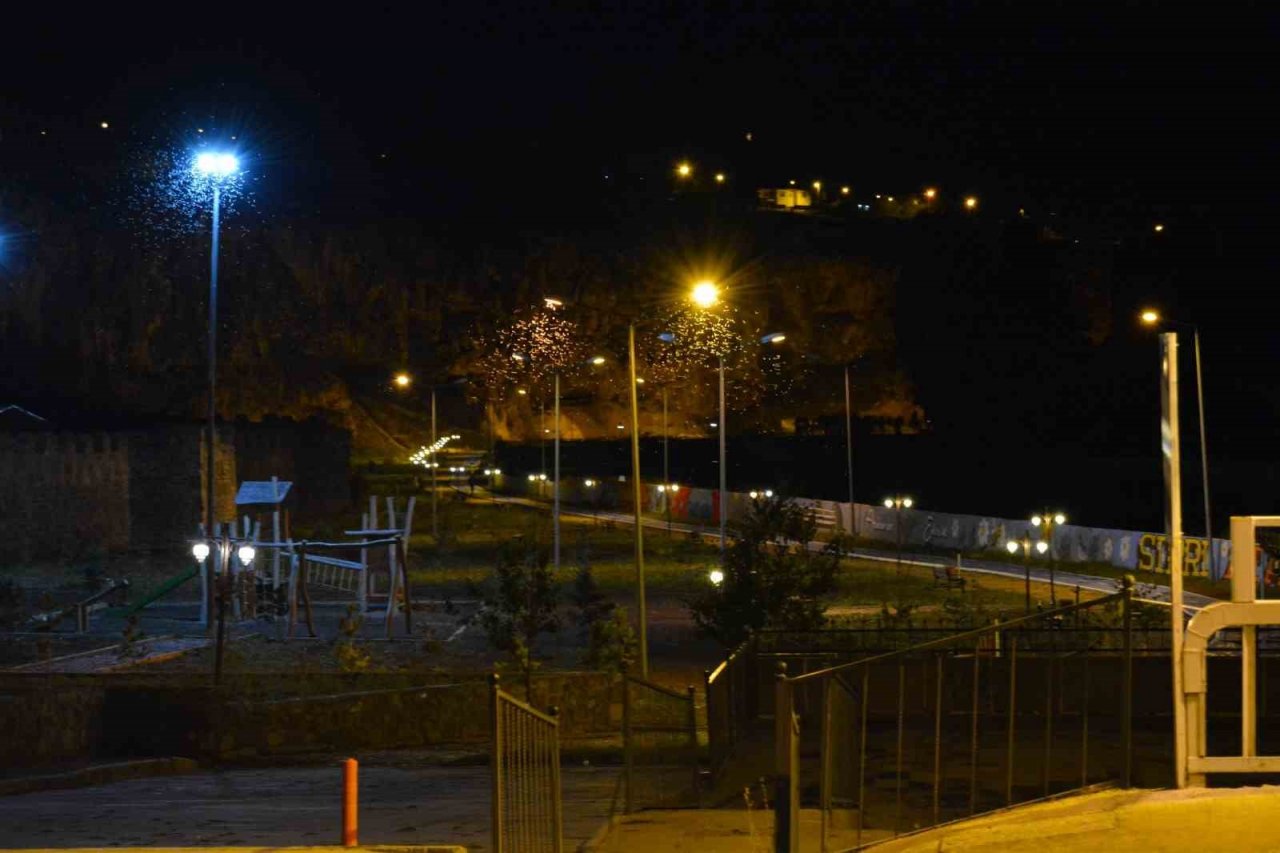 Ardahan’da ’bir günlükler’in ölüm uçuşu başladı