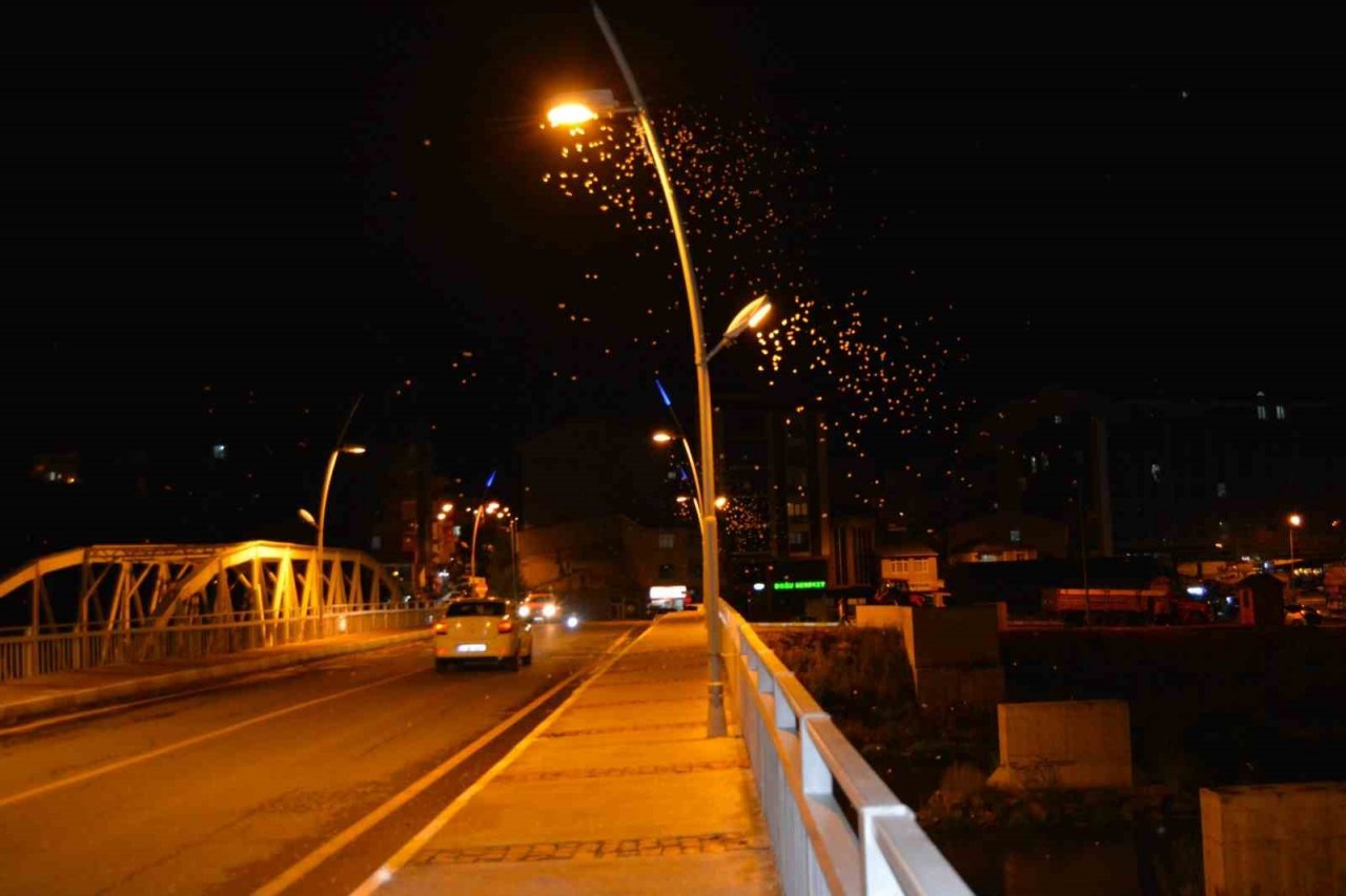 Ardahan’da ’bir günlükler’in ölüm uçuşu başladı