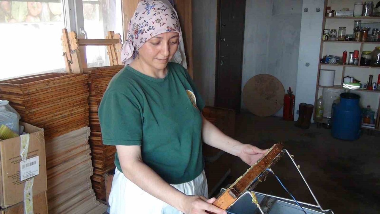Bandırma’da bal hasadı başladı