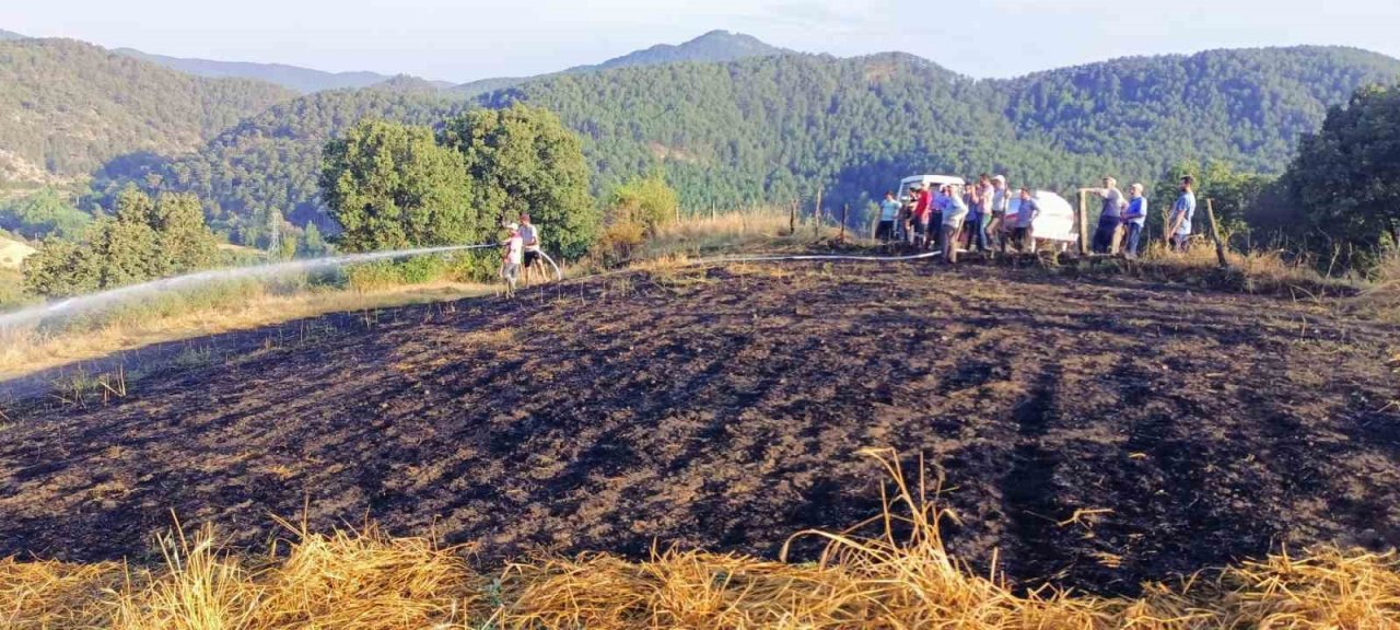 Tarla yangını ormana sıçramadan köylüler tarafından söndürüldü